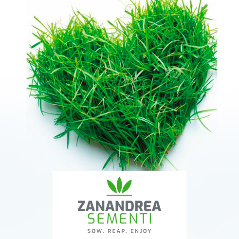 Caso studio Zanandrea Sementi