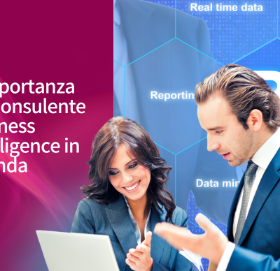 ruolo consulenti business intelligence