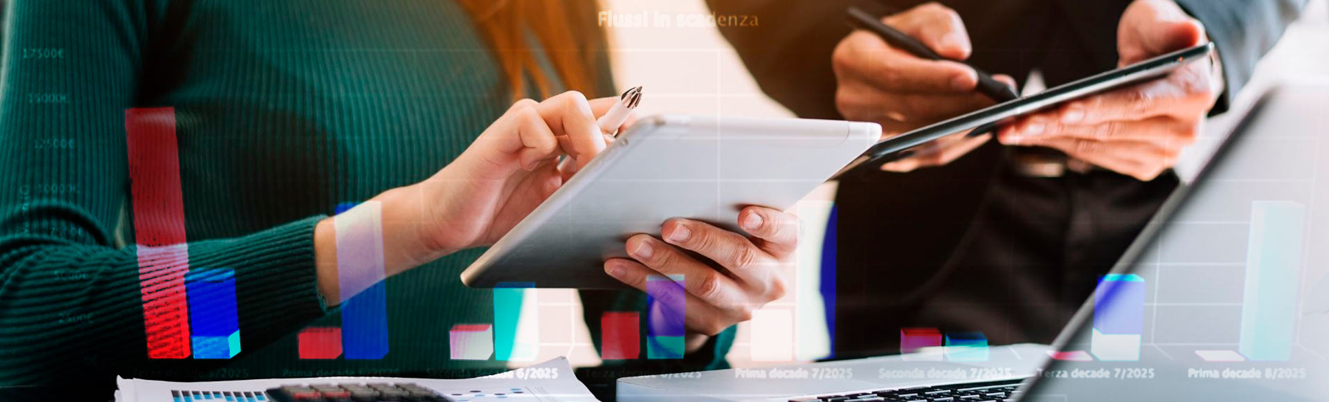 Bank-Monitor software