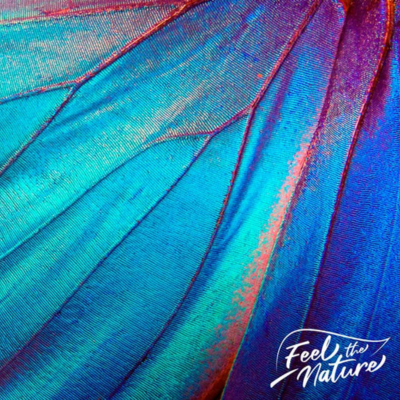 Feel the nature Progetto Raxyline by Infodati Marketing